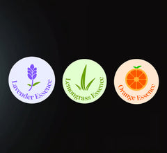 The Sleep Reset: How to Recharge Your Body and Mind